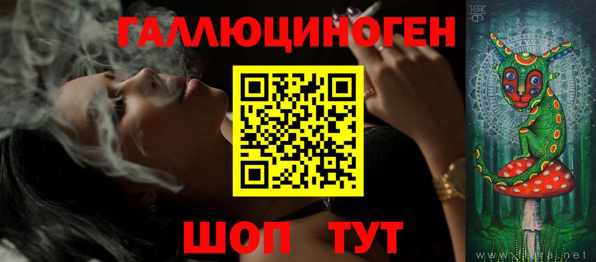 Галлюциногенные грибы GOLDEN TEACHER  магазин продажи наркотиков  Ялта  Вход с VPN 